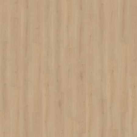 216441035451_Puro_410_topview